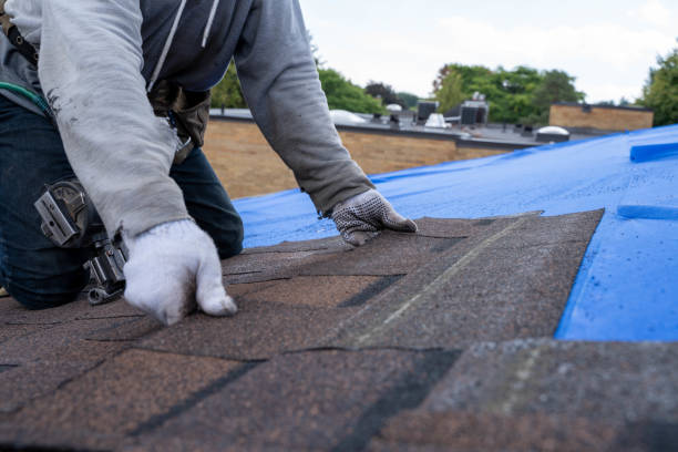 Roof Gutter Cleaning in Hillsborough, CA